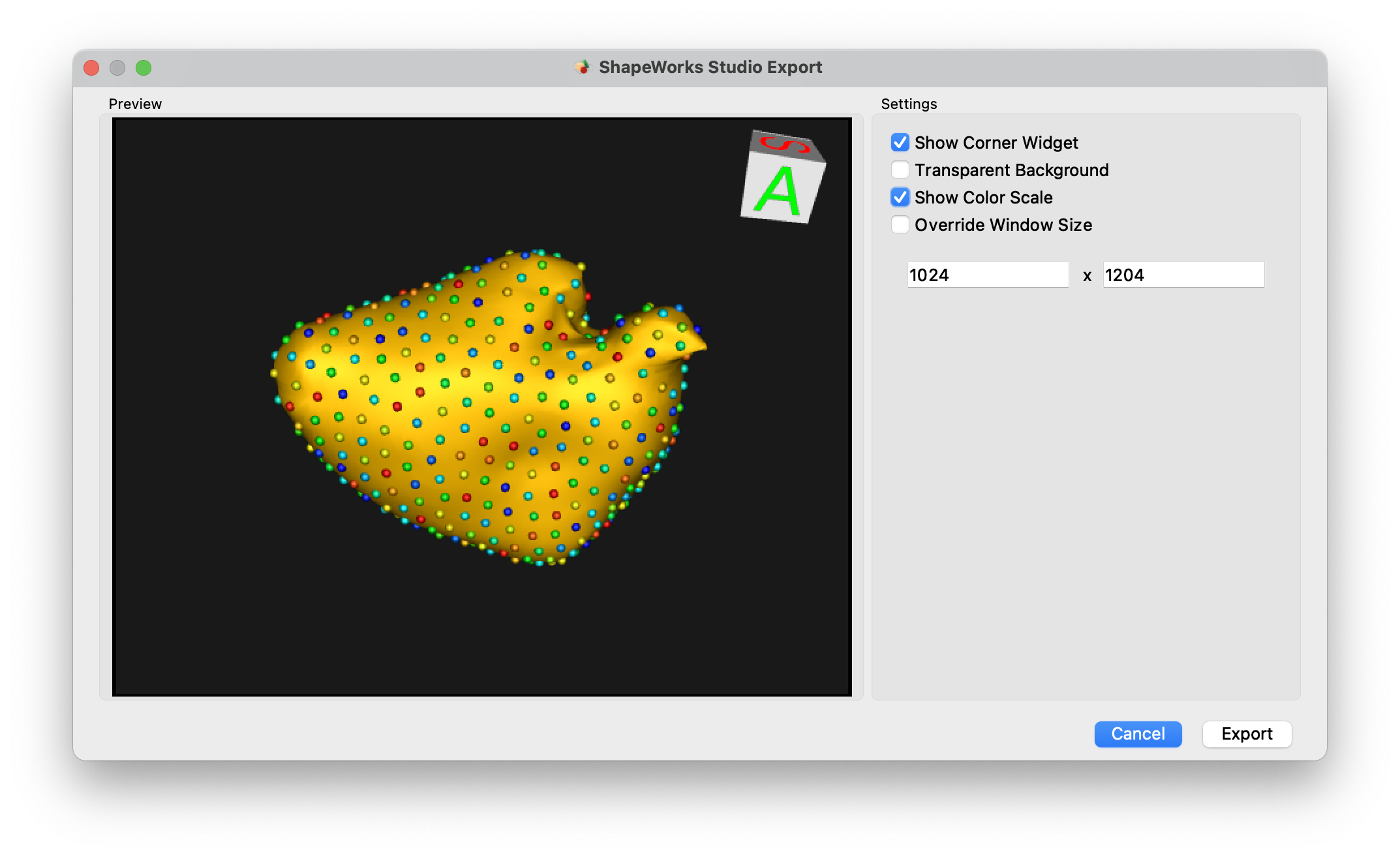 ShapeWorks Studio Export Screenshot