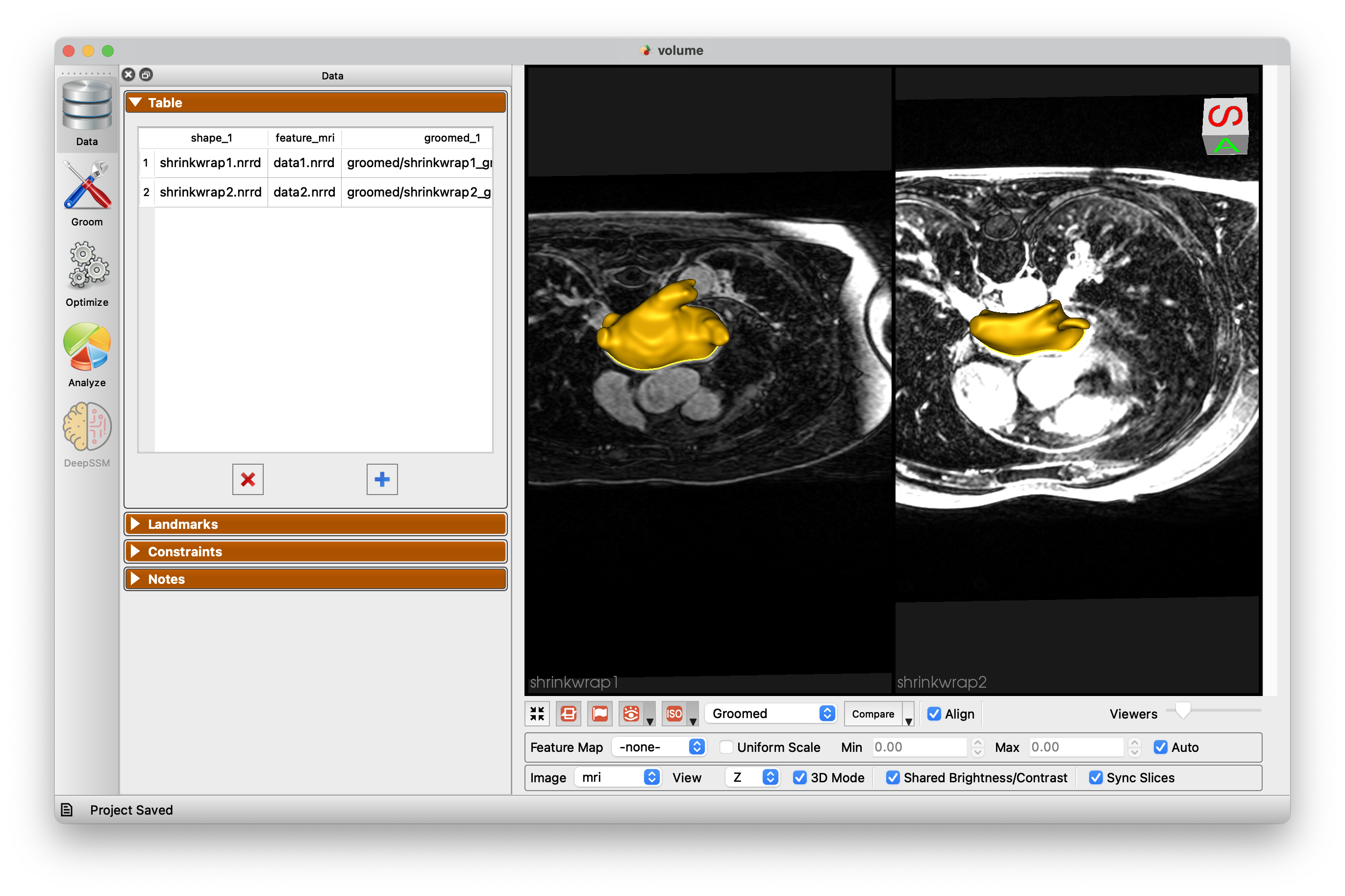 ShapeWorks Studio Viewer Image Support