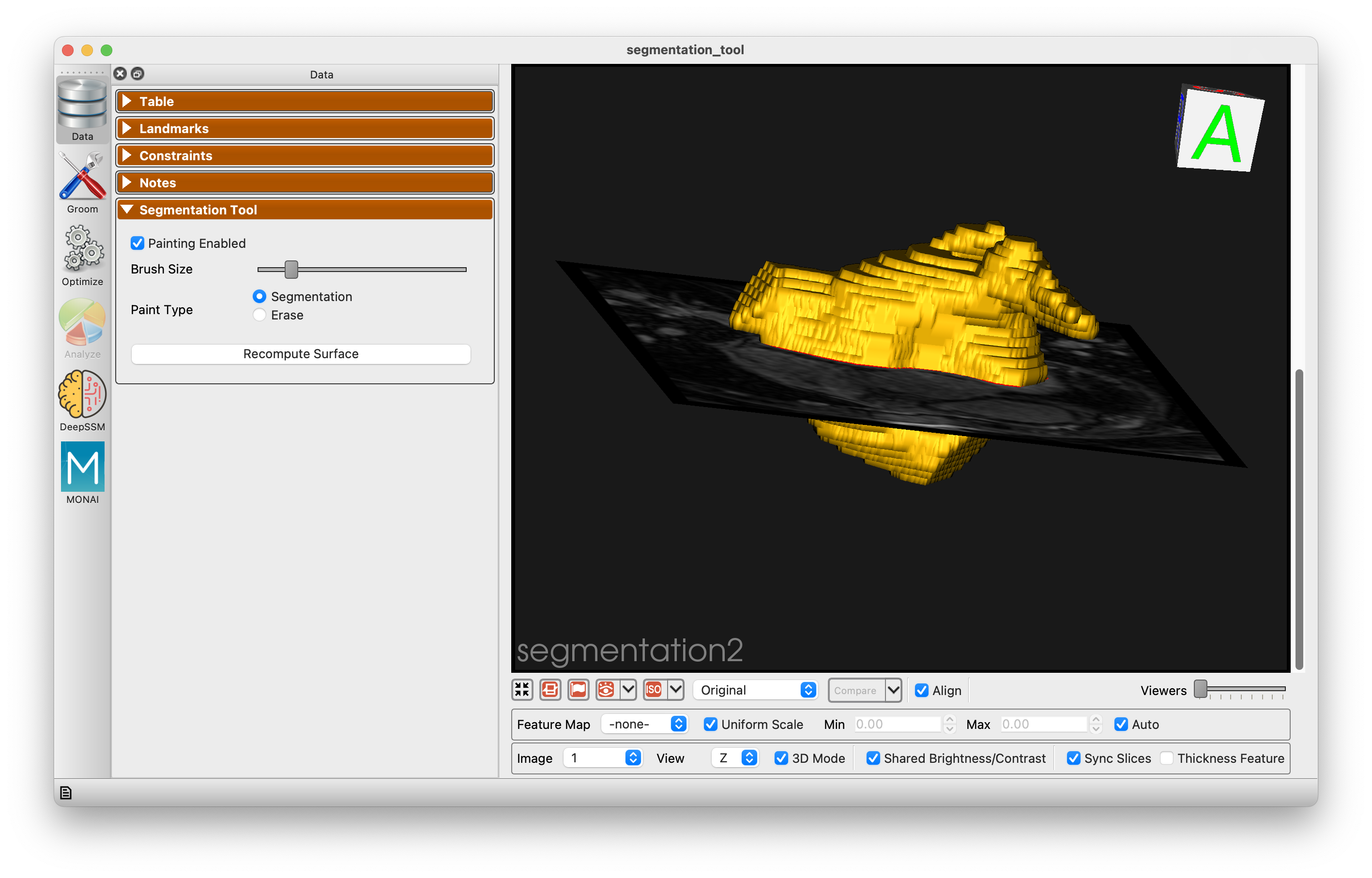 Segmentation Tool Result