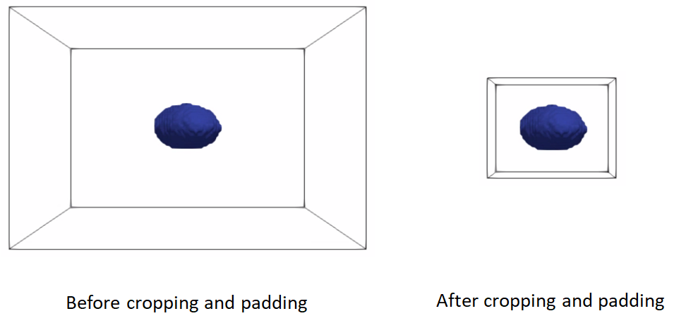 Cropping and padding example