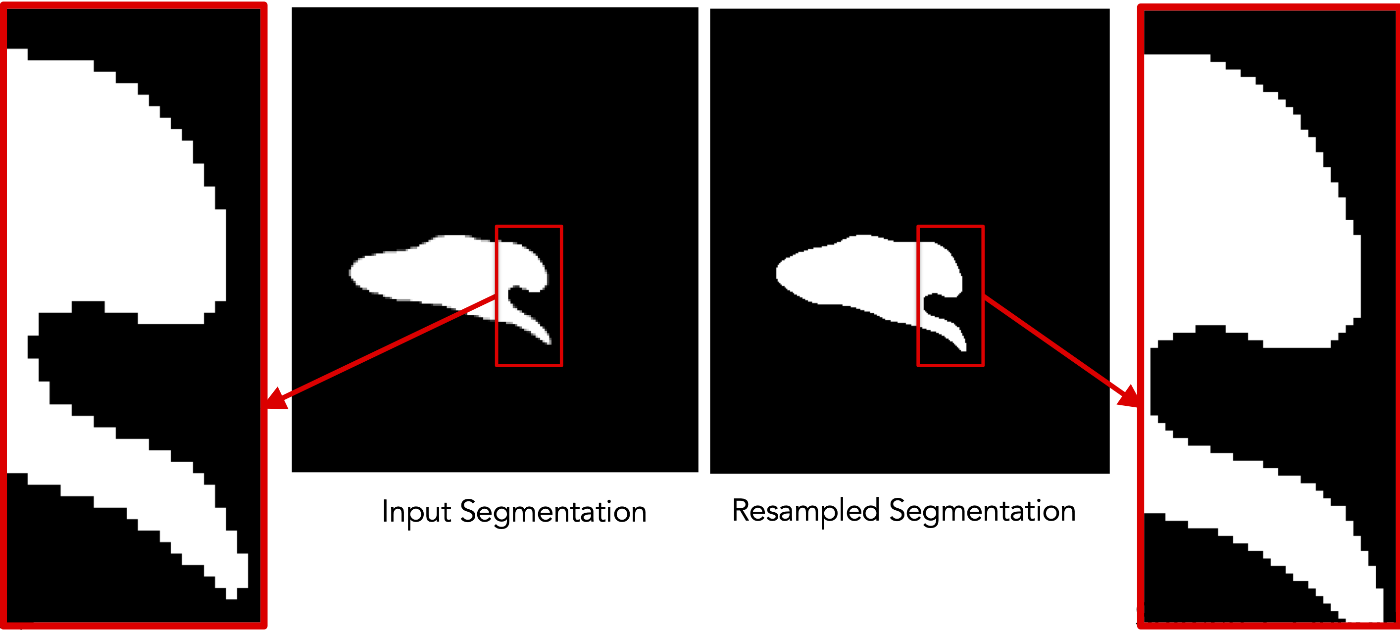 Isoresampling for segmentations