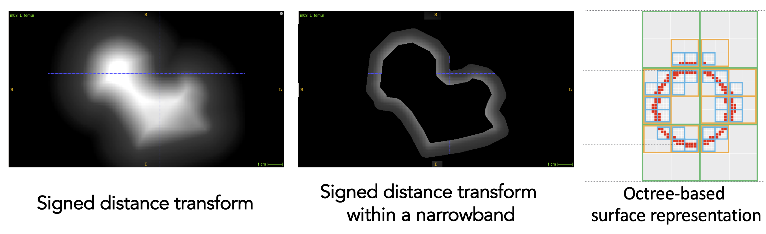 Octree-based surface representation