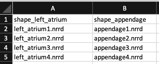 ShapeWorks Project with Multiple Domains