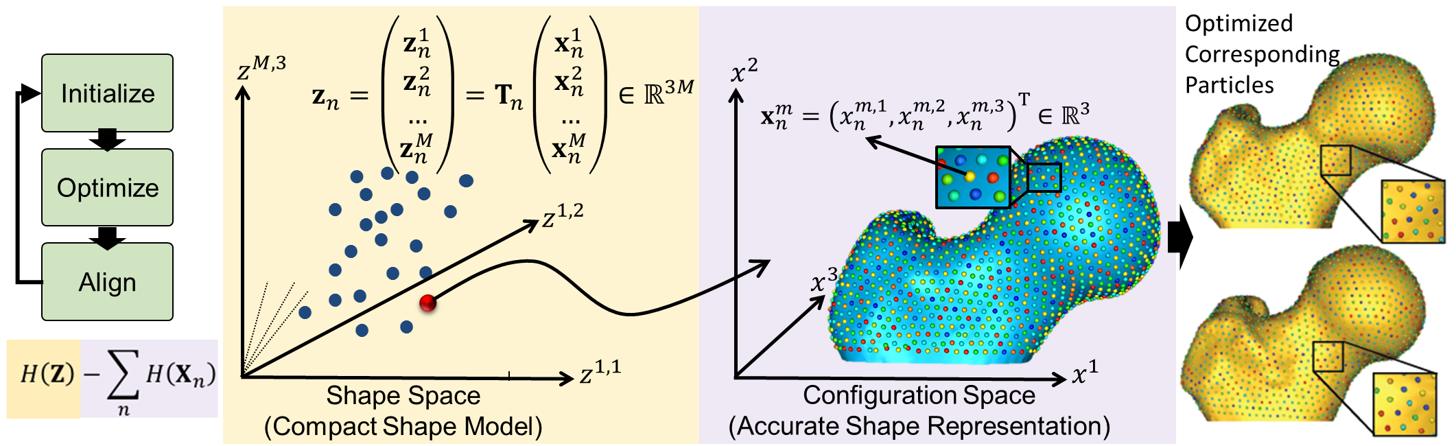 Particle-based shape modeling