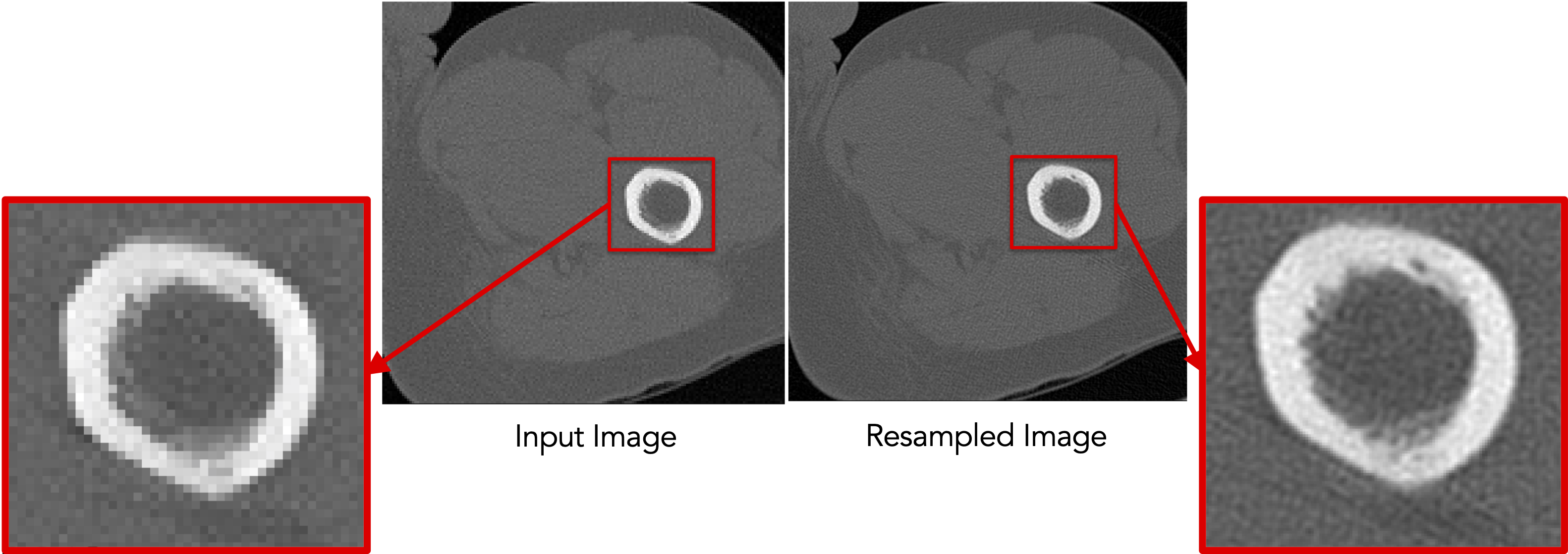 Isoresampling for images