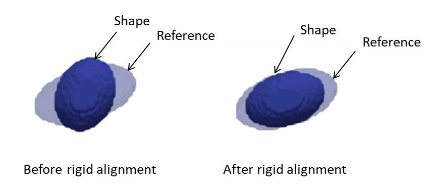 Rigid alignment example